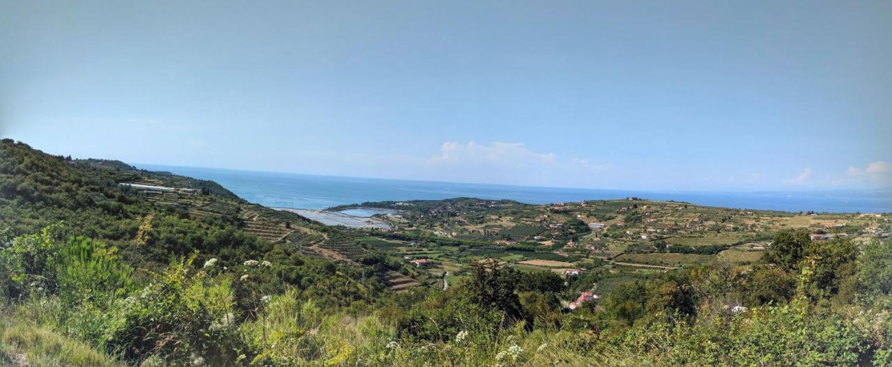 Apartma Ivan Portorose Esterno foto